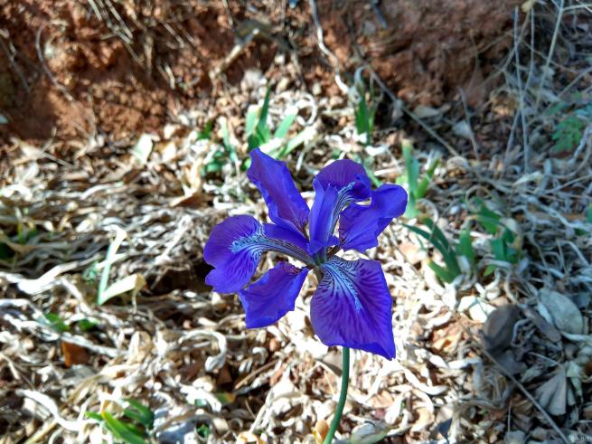 红米note3的拍照方法,红米note3不亮