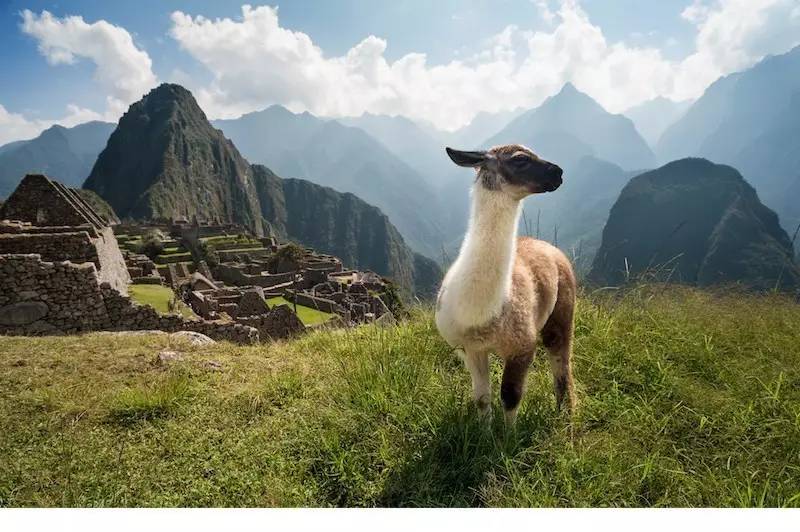 美签可以进入厄瓜多尔,持美签可以去哪些南美洲国家