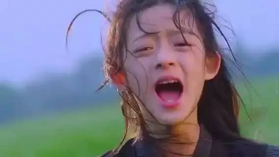 疯狂的麦咭长江黄河,疯狂的麦咭第五季苏青