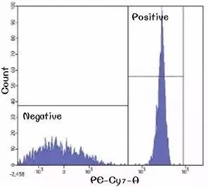 你这磨人的小妖精视频,你这磨人的小妖精下一句是什么呢