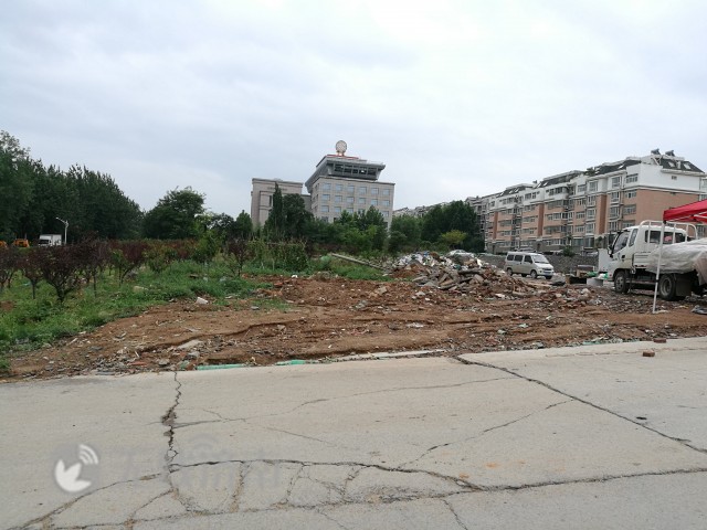 鍟勬湪楦熷湪琛屽姩琚姄,鍟勬湪楦熷湪琛屽姩璋冩煡鎶ュ憡