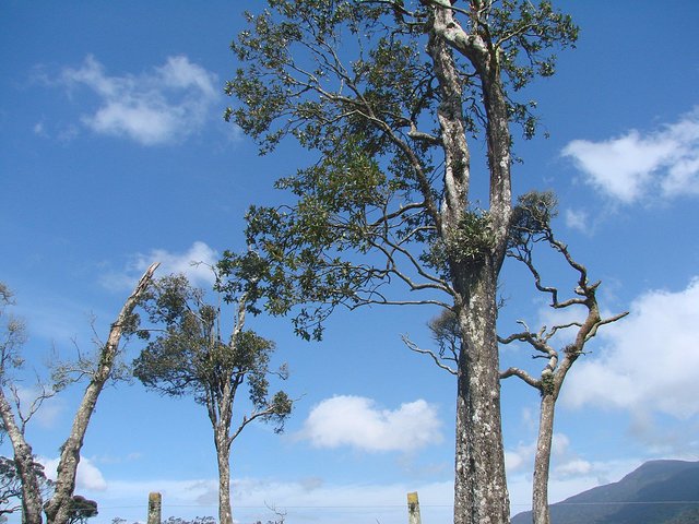 在斯里兰卡旅游必做的10件事,在斯里兰卡的难忘旅行经历