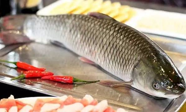 避孕药被排入下水道……英国有很大一部分鱼变性了……变性了……性了……