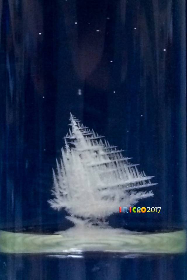 显微镜奇妙世界,显微镜下的奇妙世界视频