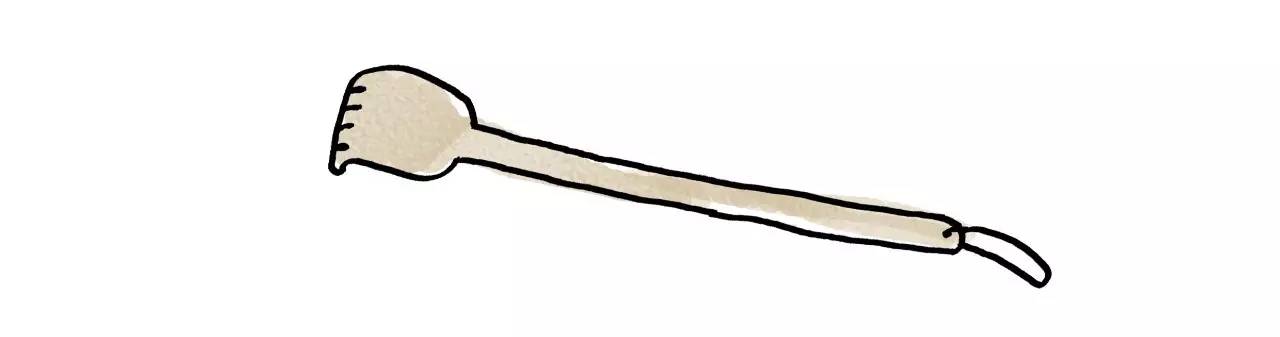 坐舔、跪舔、躺着舔……喵为什么这么爱舔毛？丨行为