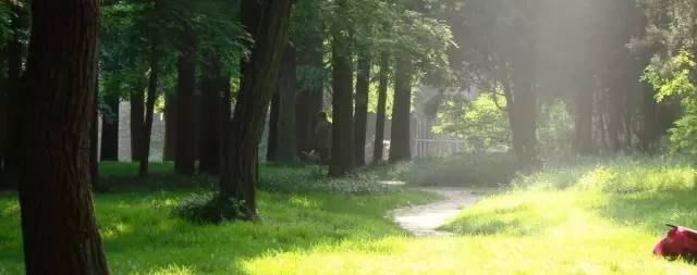 青岛上榜“最受追捧海洋游目的地”“7月份最佳避暑旅游城市”!是的,来青岛避暑就对了!