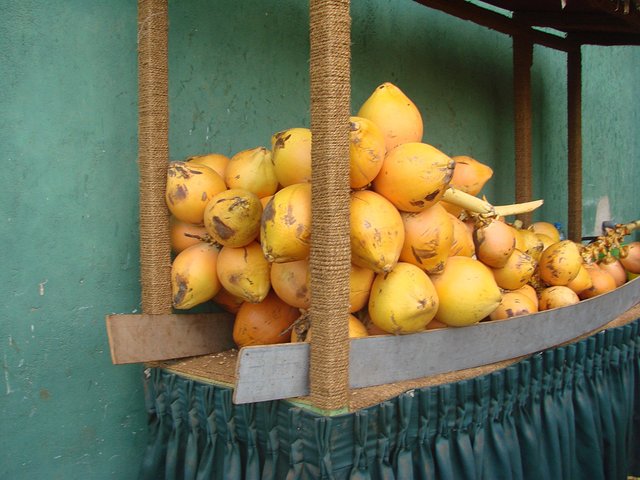 在斯里兰卡旅游必做的10件事,在斯里兰卡的难忘旅行经历