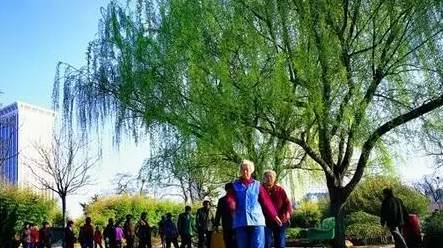 河南治安好不好？哪个城市最宜居？权威排行最新出炉！