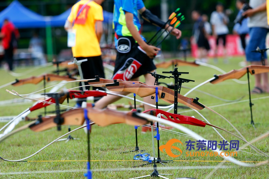 东莞第九届运动会,第九届东莞市市运会