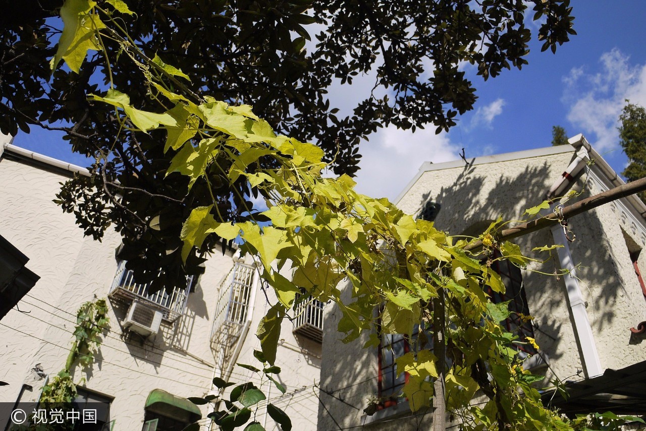 上海乘凉哪里好玩,上海周末乘凉地点排名前十