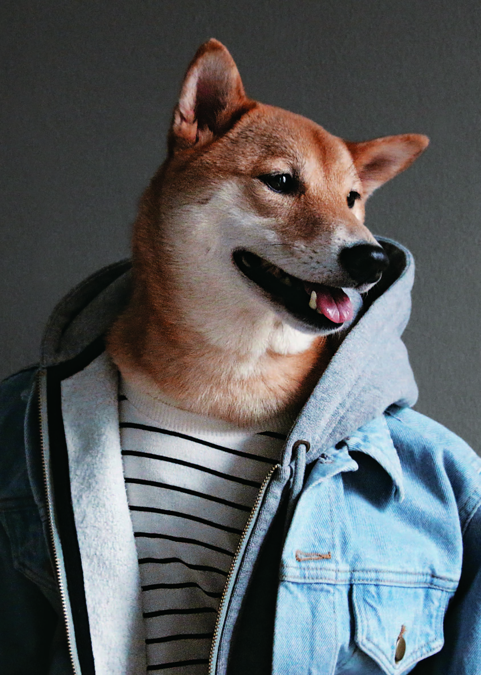 男春季穿搭技巧,春季男士穿搭禁欲奶狗风