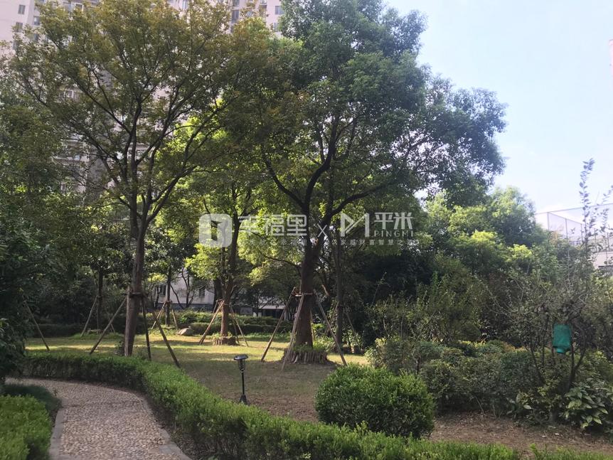 不到1000万，入住上海市中心的品质次新房，还能进上外黄埔小学