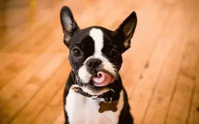 午休时间来一段绕口令,盘点那些简单又好记的绕口令