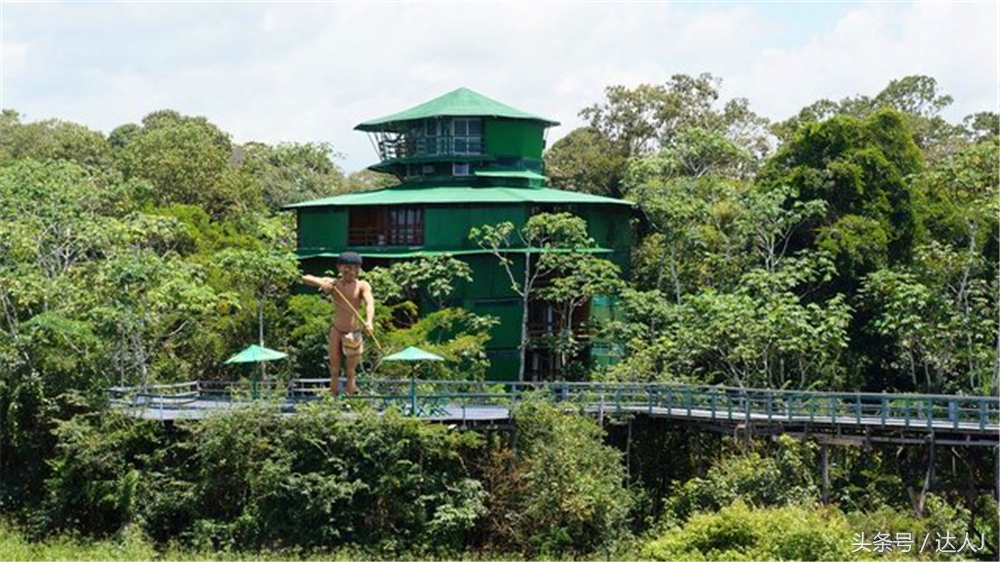 从亚马逊雨林到安纳托,最靠近亚马逊丛林的城市