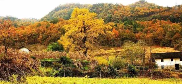 宜昌周边适合避暑的古镇,宜昌小众避暑景点
