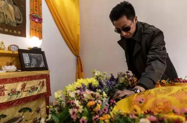 狗生如梦｜ONE实验室