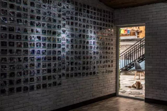 狗生如梦｜ONE实验室