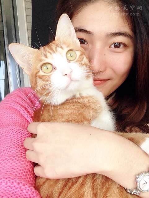 遇到猫咪踩奶,遇到一只会踩奶的猫