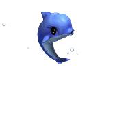 单飞露营,露营还可以做哪些活动