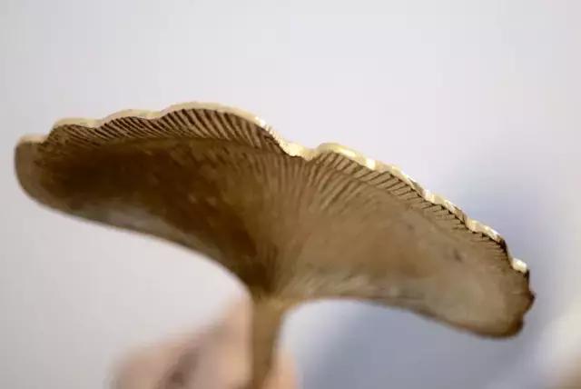 满心欢喜地等了这个快递整整1个月，却在拆开包装的瞬间傻了眼