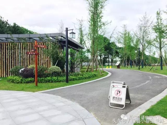 高淳去南京玩,高淳看荷花