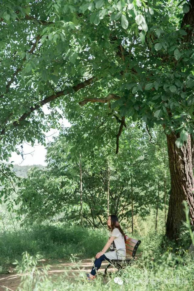 隐藏在森林里的现代别墅,隐藏在深山的豪宅