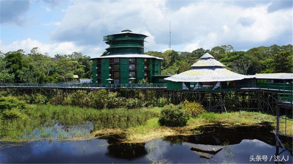 达人J：巴西的盛宴