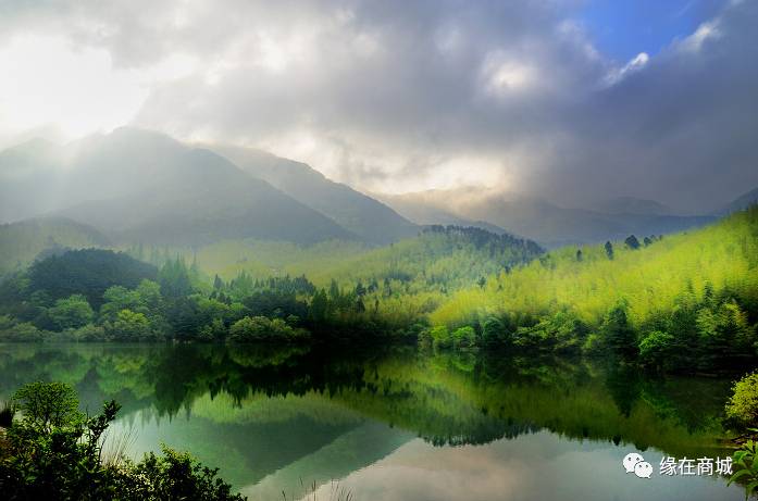 盛夏七月，商城县这几个地方被避暑游客挤爆了……
