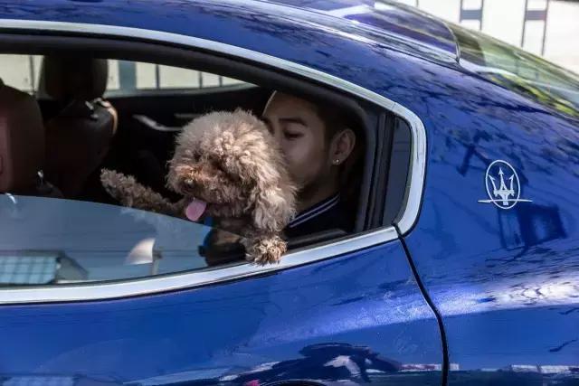 狗生如梦｜ONE实验室