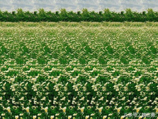 心理减压画画,减压静心的画