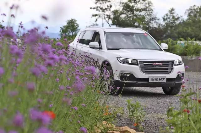 哈弗h7红蓝标有什么区别,哈弗h7蓝标功能详解