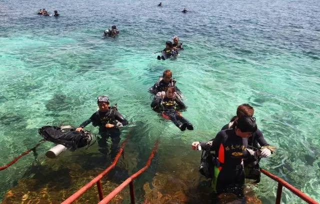 三亚潜水避坑攻略,三亚潜水新技巧