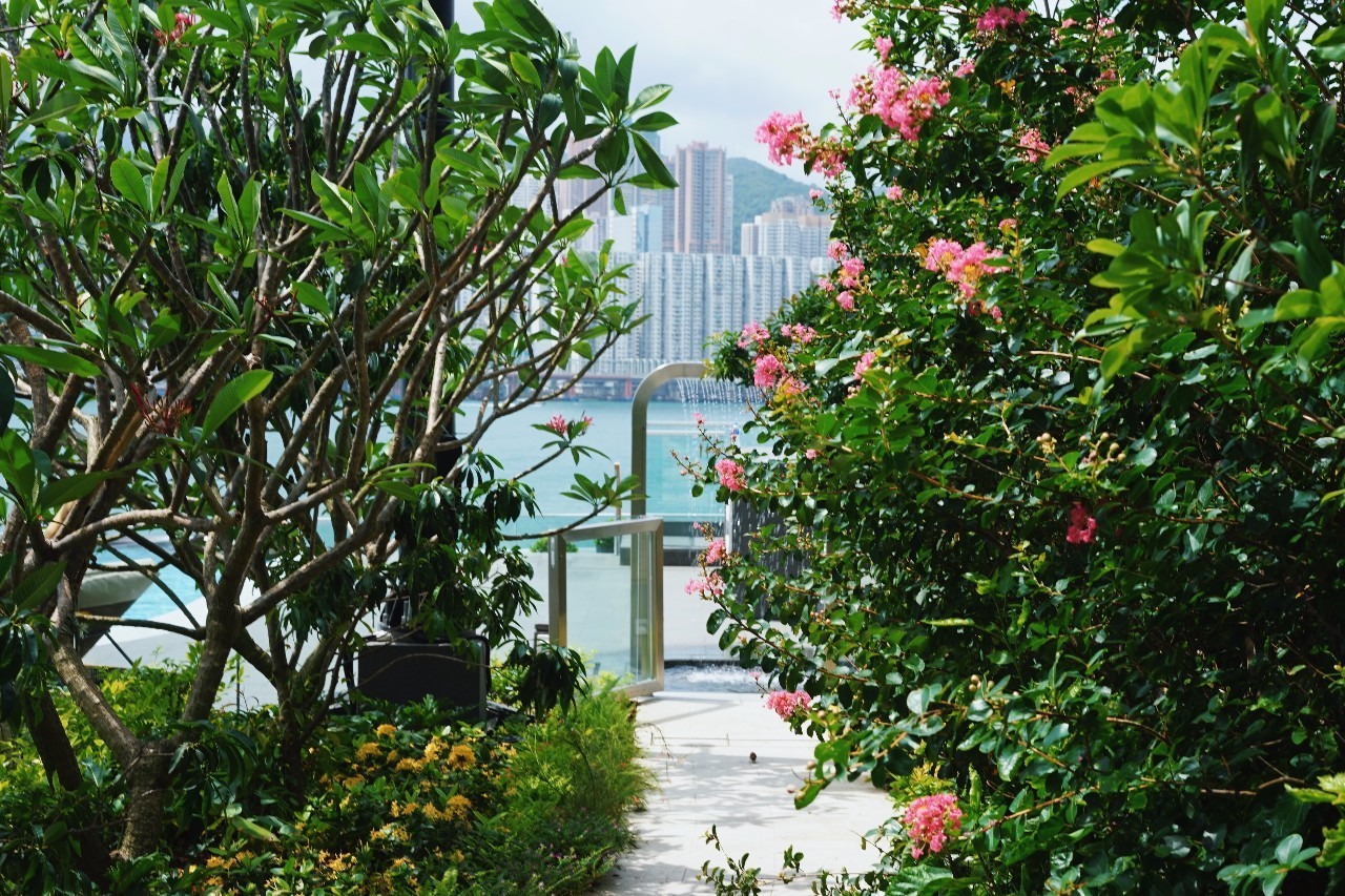 香港九龙洲际酒店,香港九龙贝尔特酒店