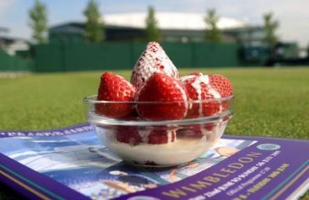 温布尔登网球锦标赛费德勒八强,温布尔登网球赛费德勒德约科维奇