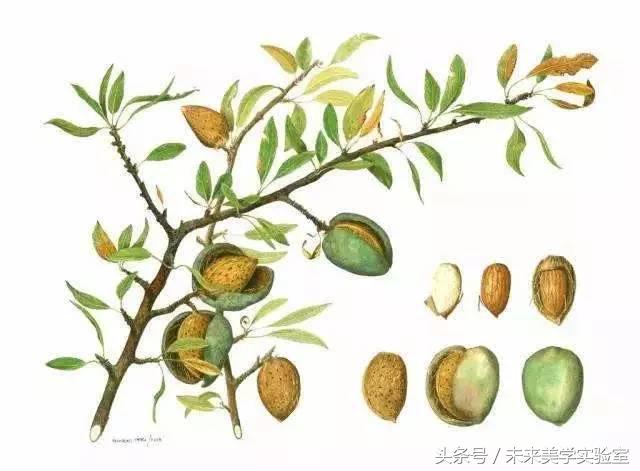 美迪惠尔可莱丝面膜,可莱丝美迪惠尔面膜推荐