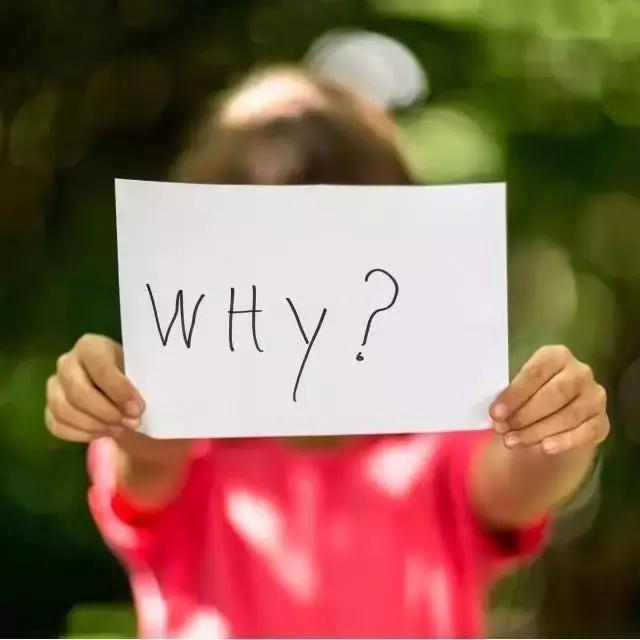 就在一条商业街，4家餐厅上演了各种死法