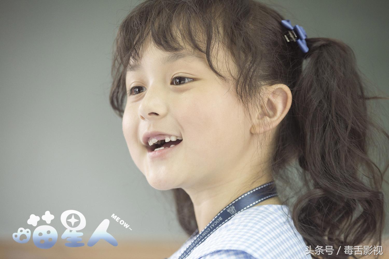 五句话夸猫咪可爱作文,关于喵星人的好听句子简短