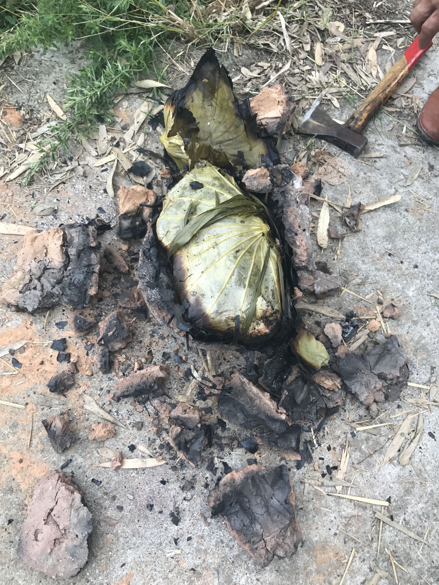 野外搭灶做叫花鸡,户外柴火叫花鸡怎么做