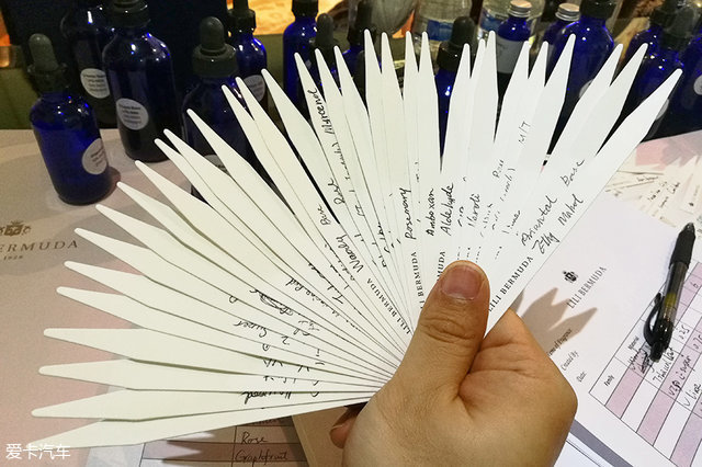 海陆皆猛虎路虎百慕大美洲帆船赛之旅