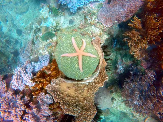 三亚潜水避坑攻略,三亚潜水新技巧