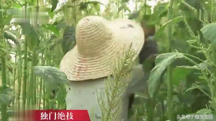 绍兴臭豆腐臭水太咸了怎么办,绍兴臭豆腐像下水道的味道