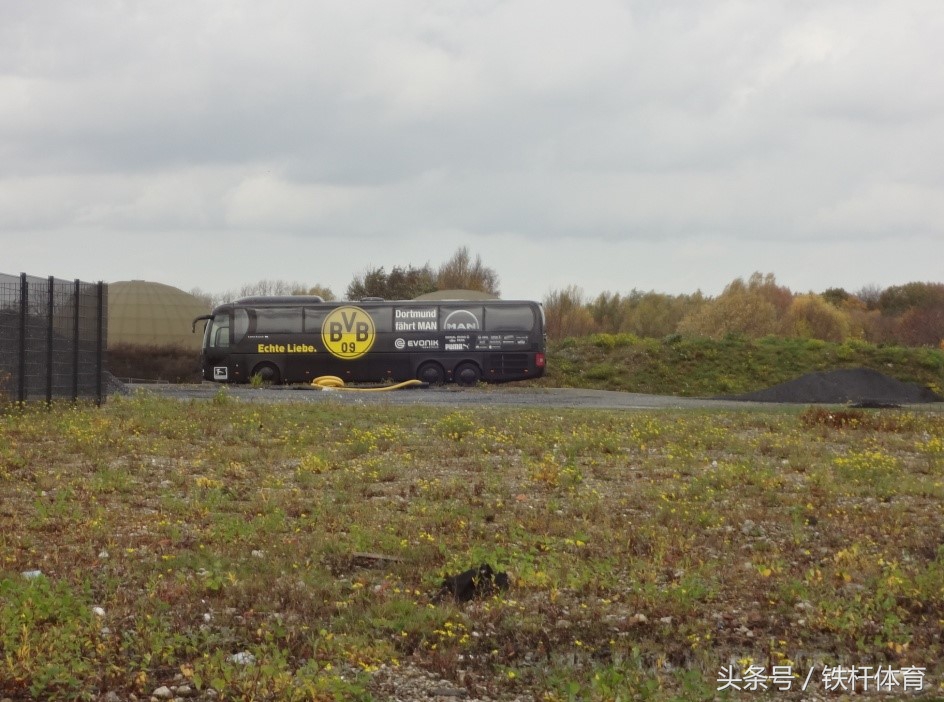 多特蒙德vs威斯特伦法直播,多特蒙德大黄蜂夺冠视频