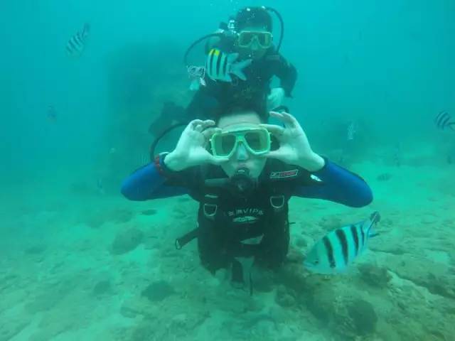 三亚潜水攻略大全,三亚怎么才能自由潜水