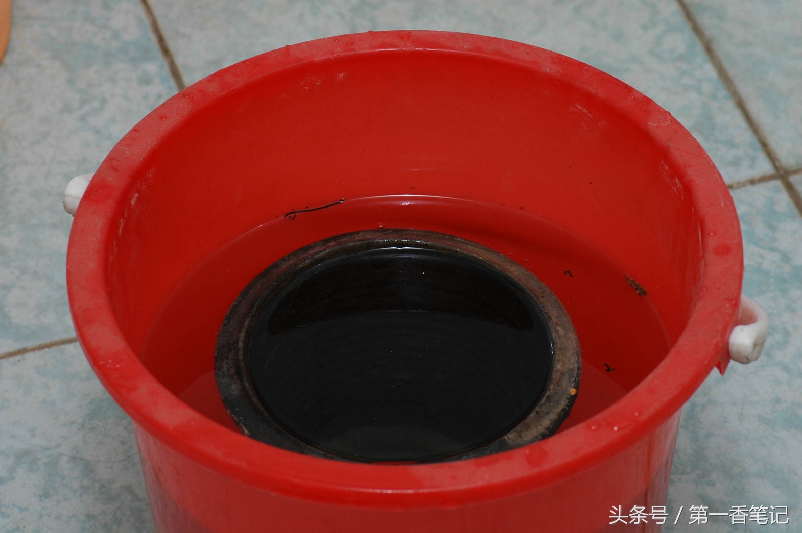 颗粒植料上盆养兰视频,滇西养兰人讲兰花上盆