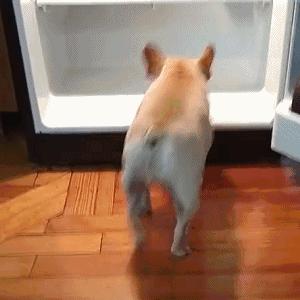 断货王3秒恒温,断货王抗皱紧致