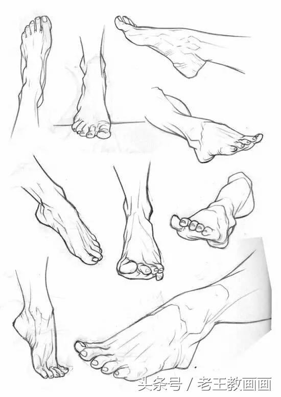 教100个零基础画画小白,零基础自学绘画入门书