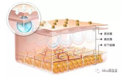 听说美容仪用了就能变美？盘点日本最火的十款美容仪