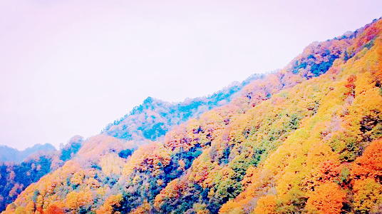 四川诗意旅游,四川山水美如画