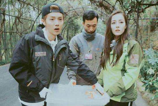 鹿晗和热巴到底啥关系,鹿晗和热巴之间的关系