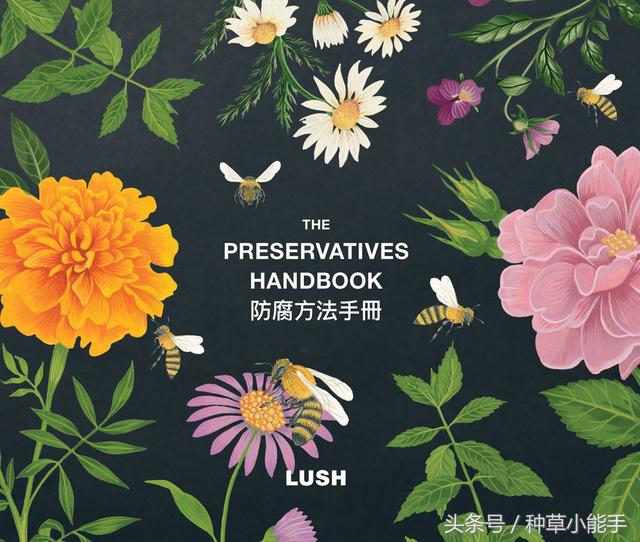 美妆品牌有哪些新品,美妆有哪些跨界融合的案例